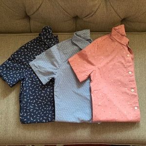 Collared button down shirts
